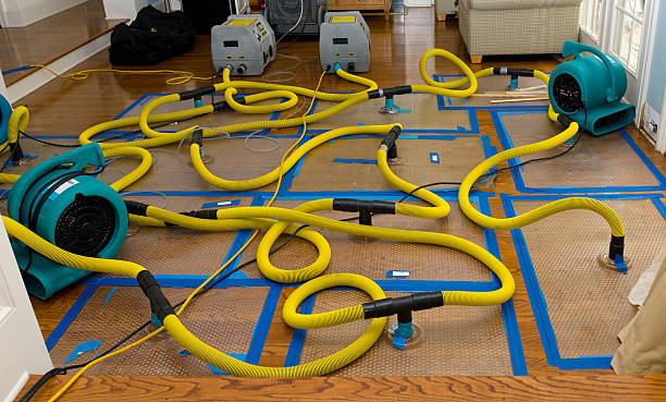 Professional Water Damage Restoration technician working in Salida, CO